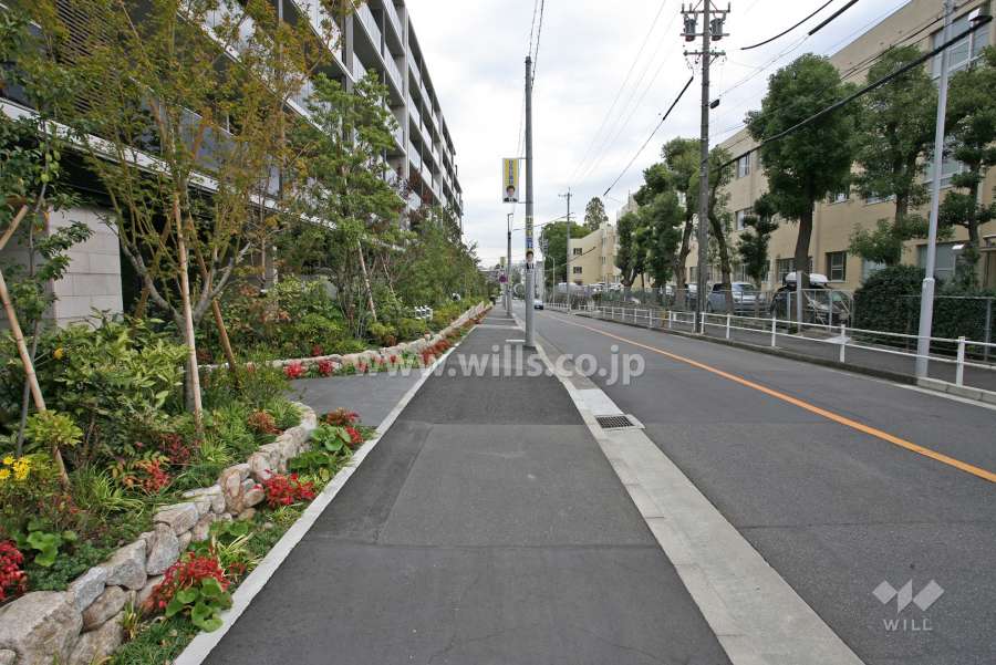 敷地前面道路