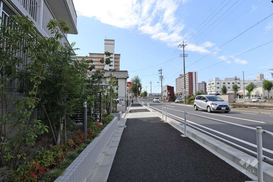 敷地の西側前面道路（北側から）