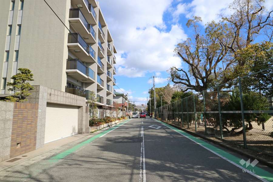 敷地南側の前面道路　