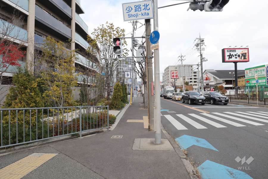 敷地東側の前面道路（南側から）