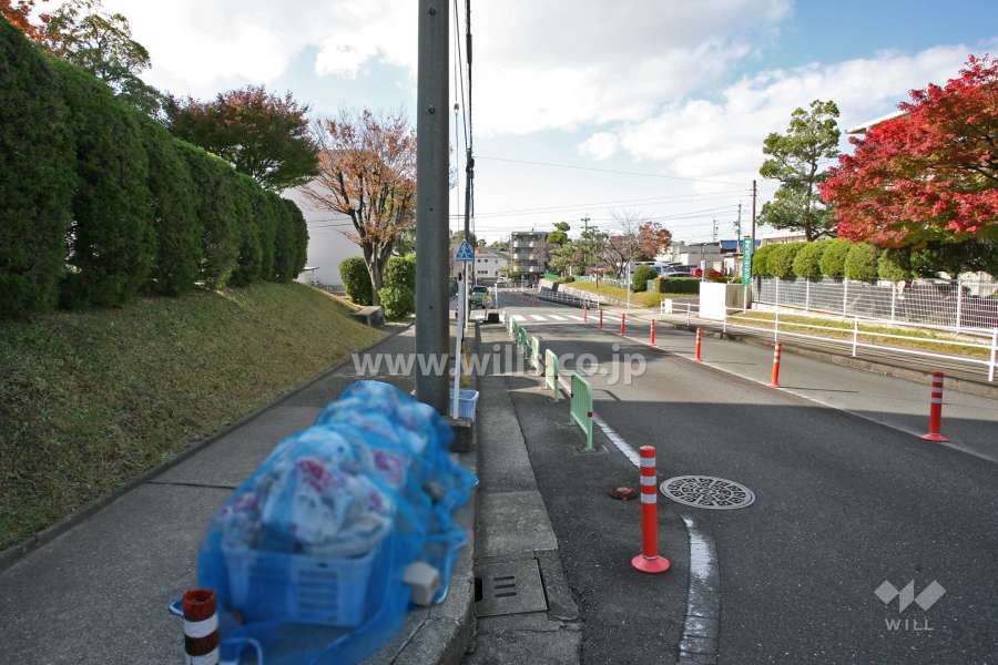敷地北側の前面道路(東側から)