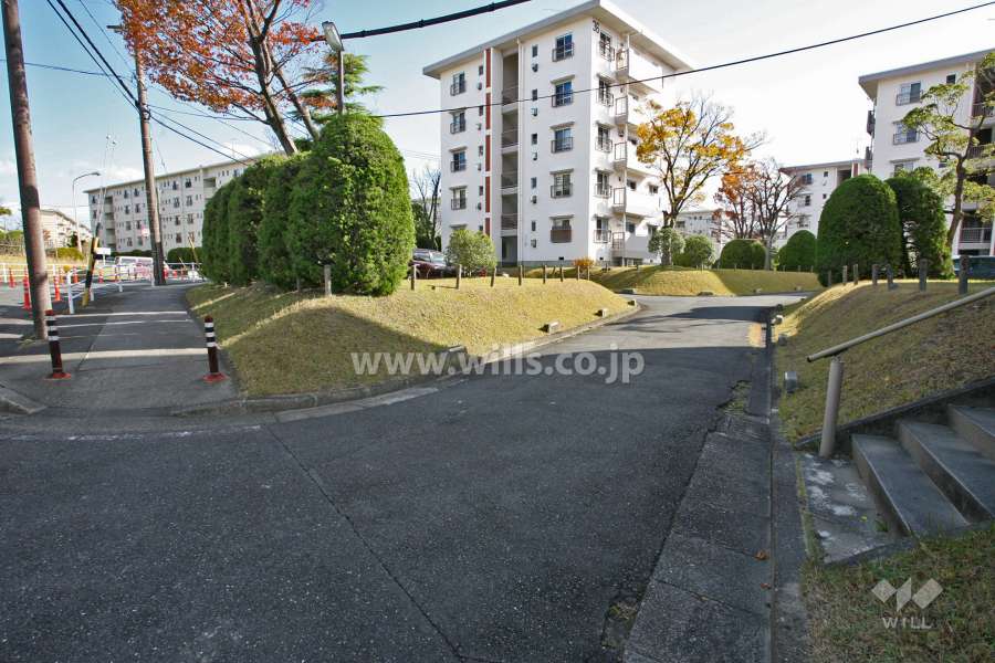 敷地北側の前面道路(北西側から)