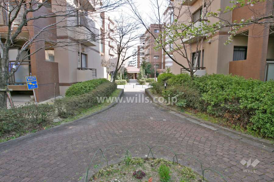 敷地内西側の通路