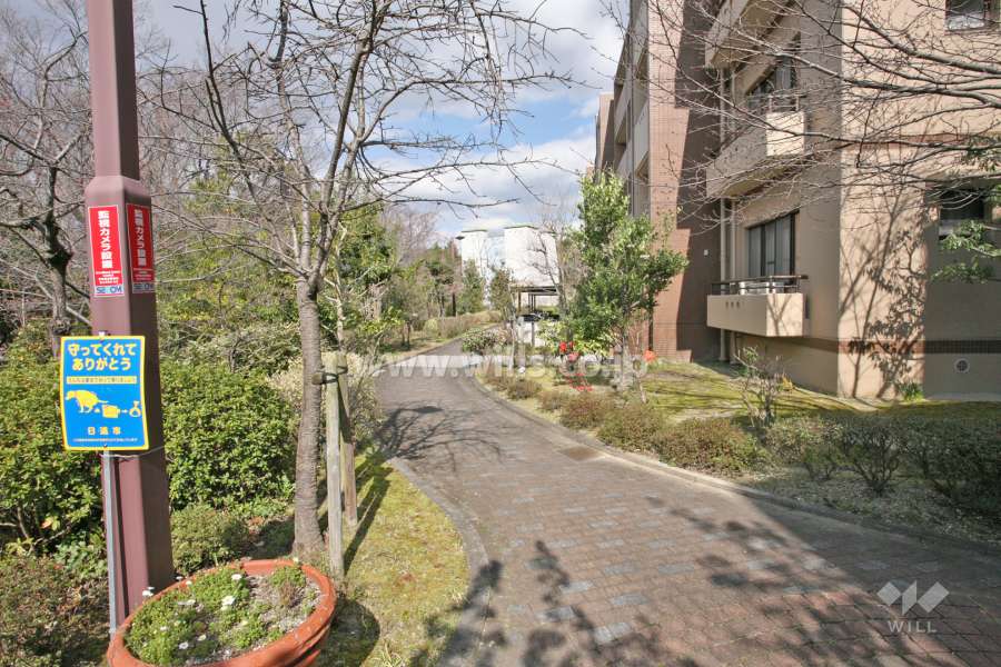 敷地内の北側通路