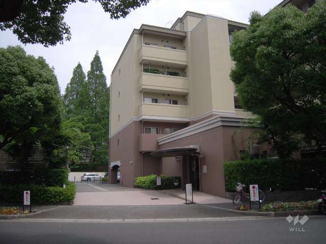 エントランス周辺