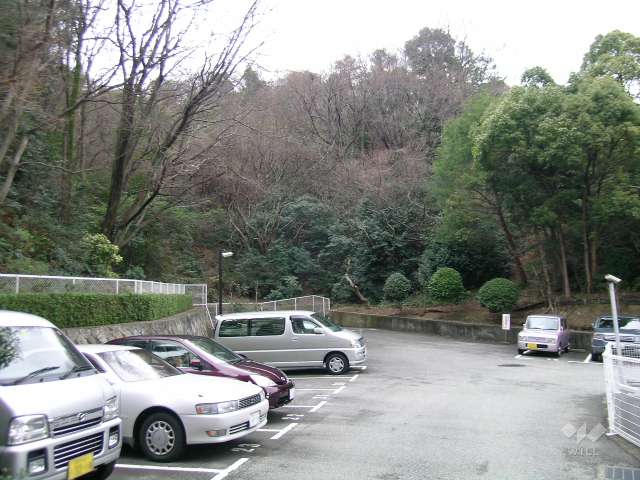 敷地の西側には雑木林が広がっています。