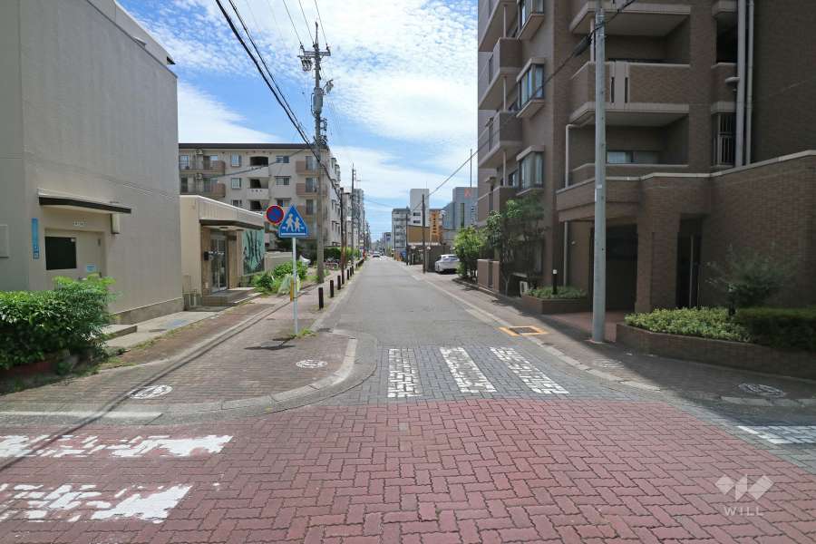 敷地東側の前面道路。交通量の少ない道路です。