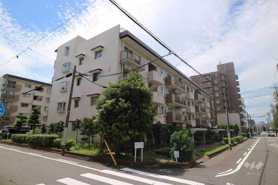 タウン白金3号棟の外観(北東側から)