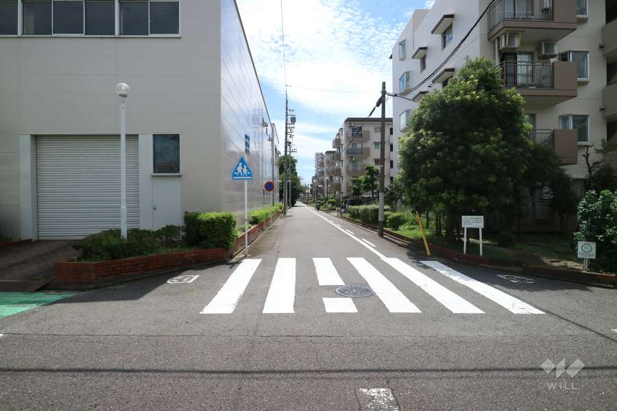 敷地西側の前面道路。交通量の少ない道路です。