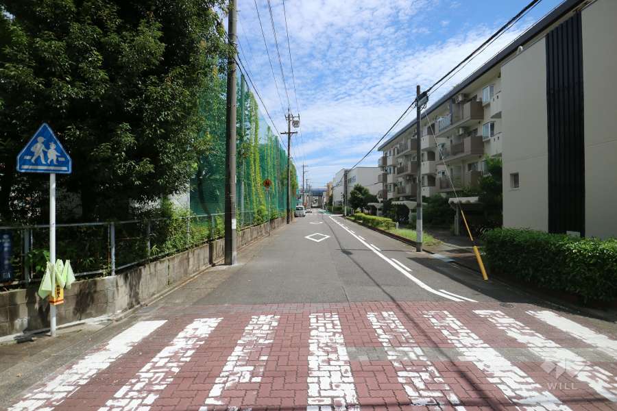 敷地北側の前面道路。交通量の少ない道路です。
