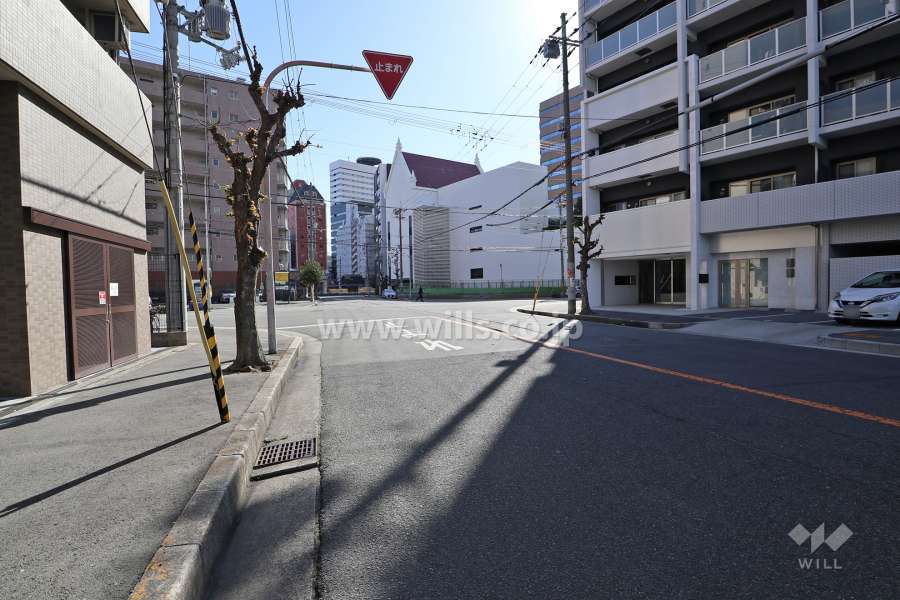 敷地西側の前面道路（北側から）