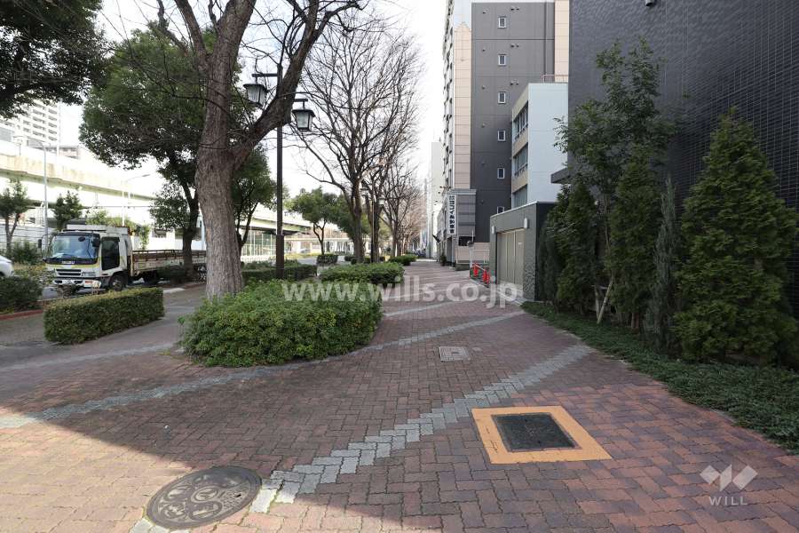 敷地北側の前面道路（西側から）