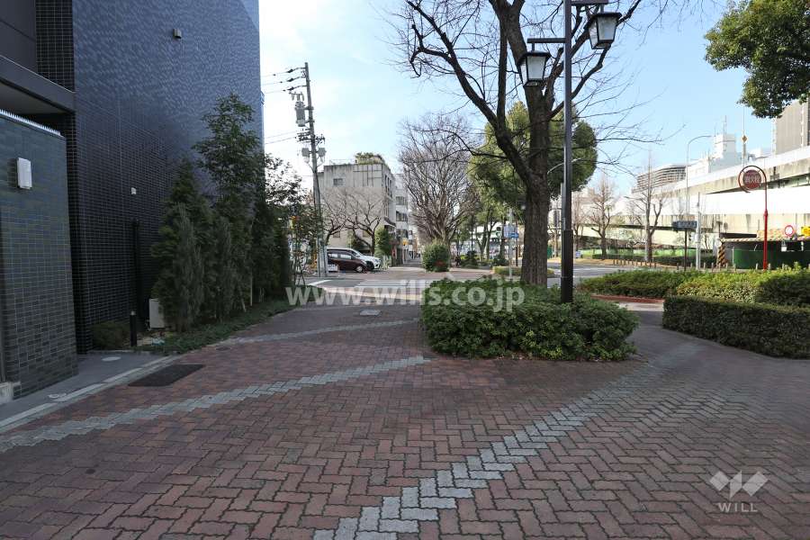 敷地北側の前面道路（東側から）