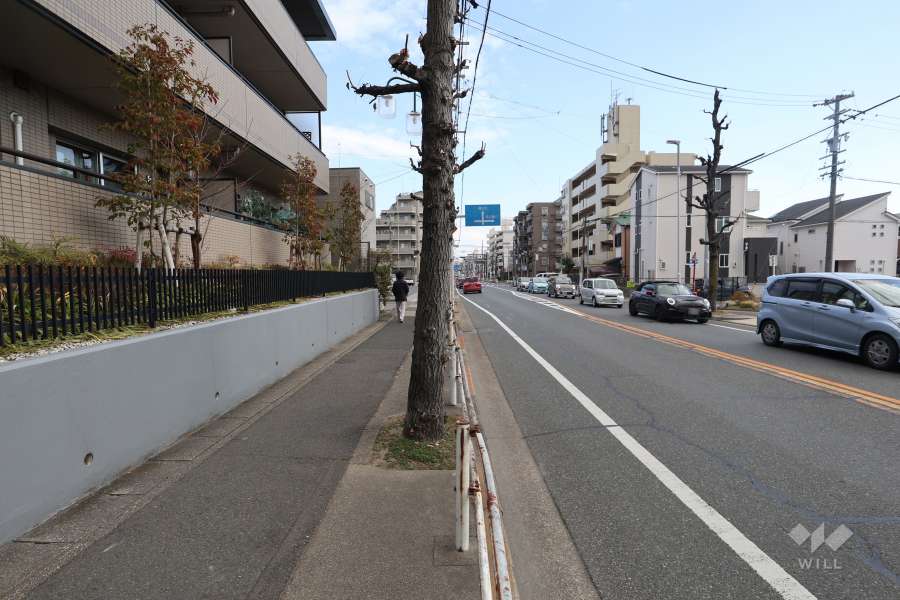 敷地南側の前面道路