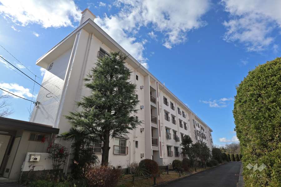 相生山団地48棟の外観（北側から）