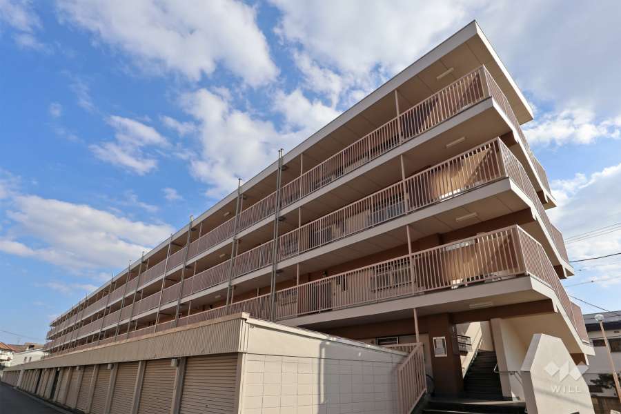 白山住宅1号棟の外観（北西側から）