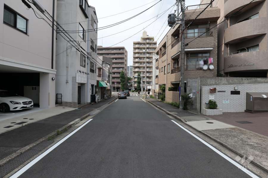 敷地の西側前面道路（北側から）