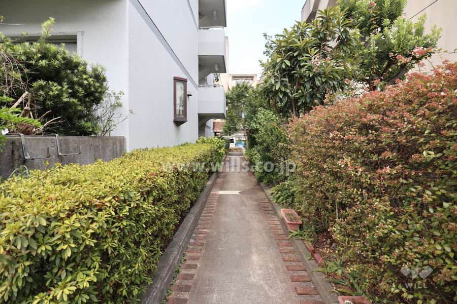 敷地東側の通路