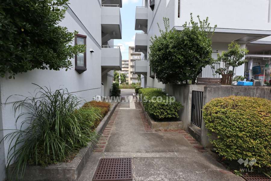 敷地西側の通路