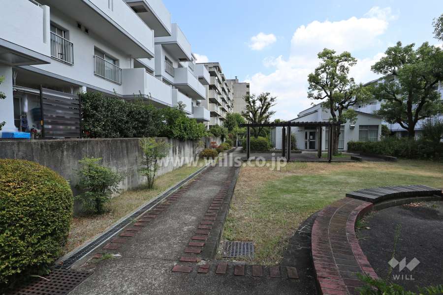 敷地南側の通路