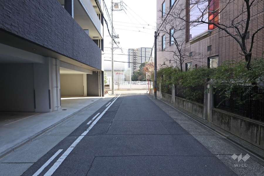 敷地の南側前面道路（西側から）