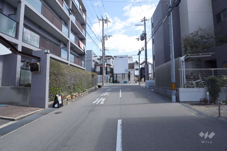 敷地南側の前面道路(西側から)