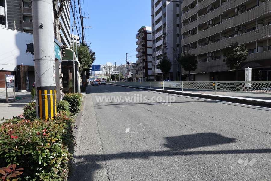 敷地の南側前面道路(西側から)