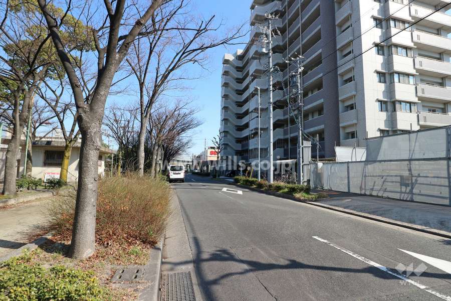 敷地北側の前面道路