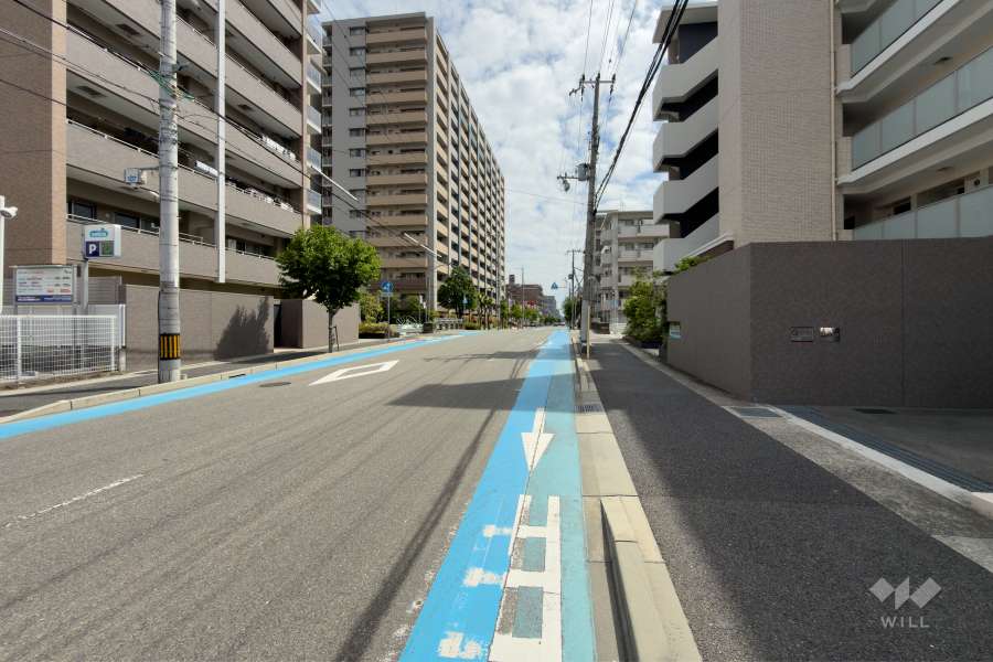 敷地北側の前面道路（西側から）
