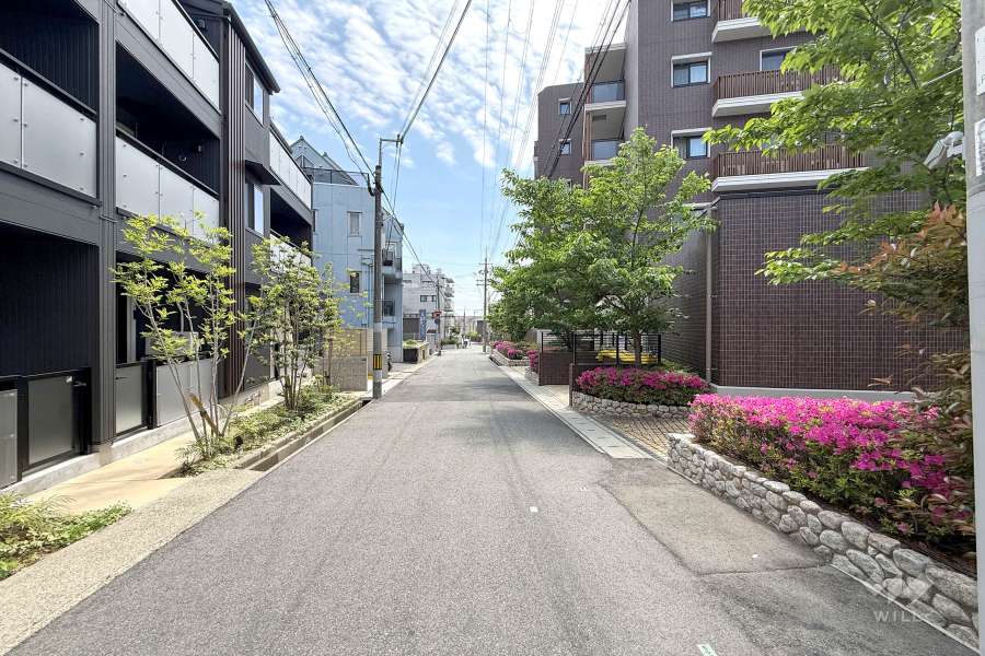 敷地東側の前面道路（北側から）