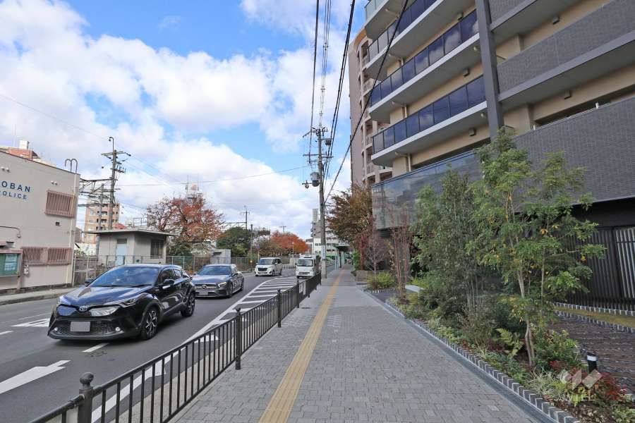 敷地西側の前面道路（北側から）