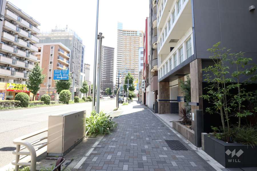 敷地北側の前面道路（西側から）