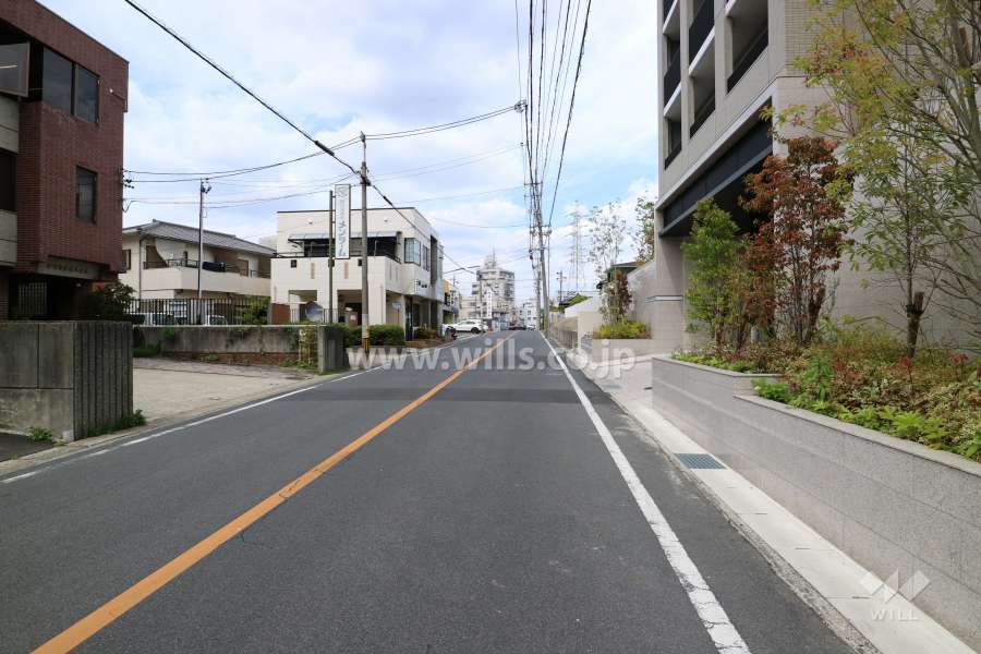 敷地西側の前面道路（南側から）
