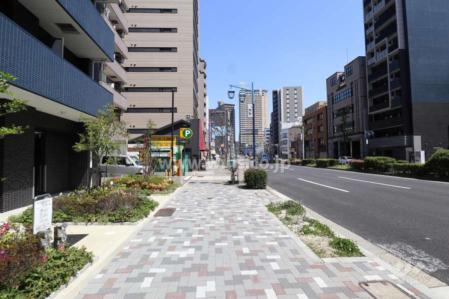 敷地南側の前面道路（西側から）