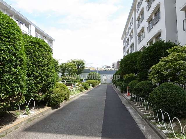 A-3棟北側の通路。敷地内は植栽スペースが多く、緑豊かです。