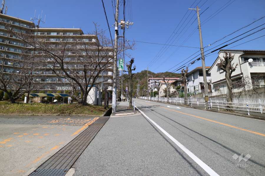 敷地東側の前面道路（二車線のバス通り）