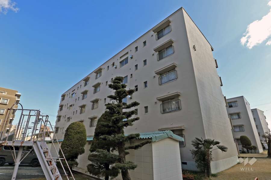 長栄住宅4号棟の外観（北側から）