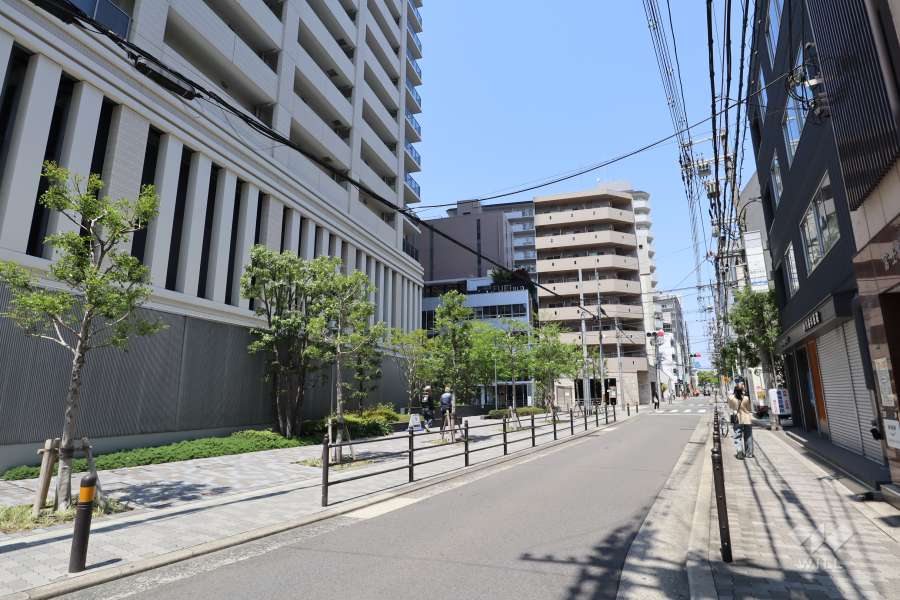 敷地東側の前面道路