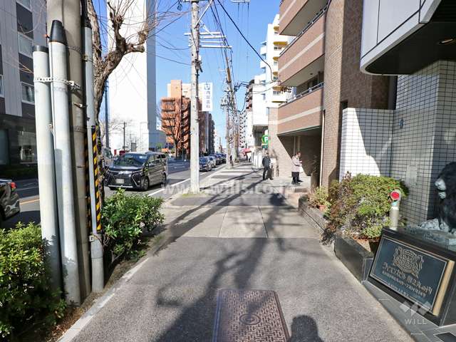 敷地の西側前面道路（南側から）