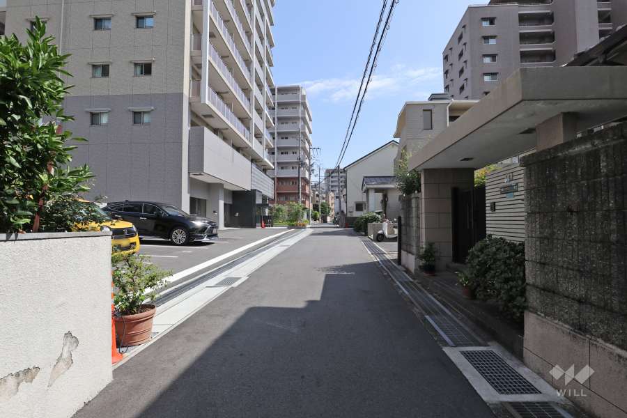 敷地西側の前面道路（北側から）