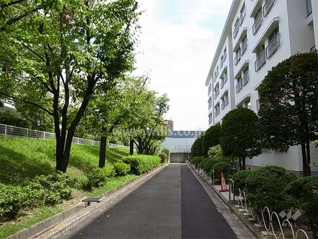 A-4棟北側の通路（敷地内は植栽スペースが多く、緑豊かです。）