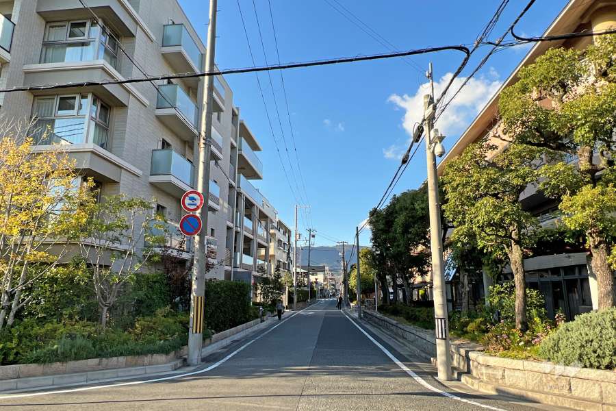 敷地東側の前面道路(南側から)