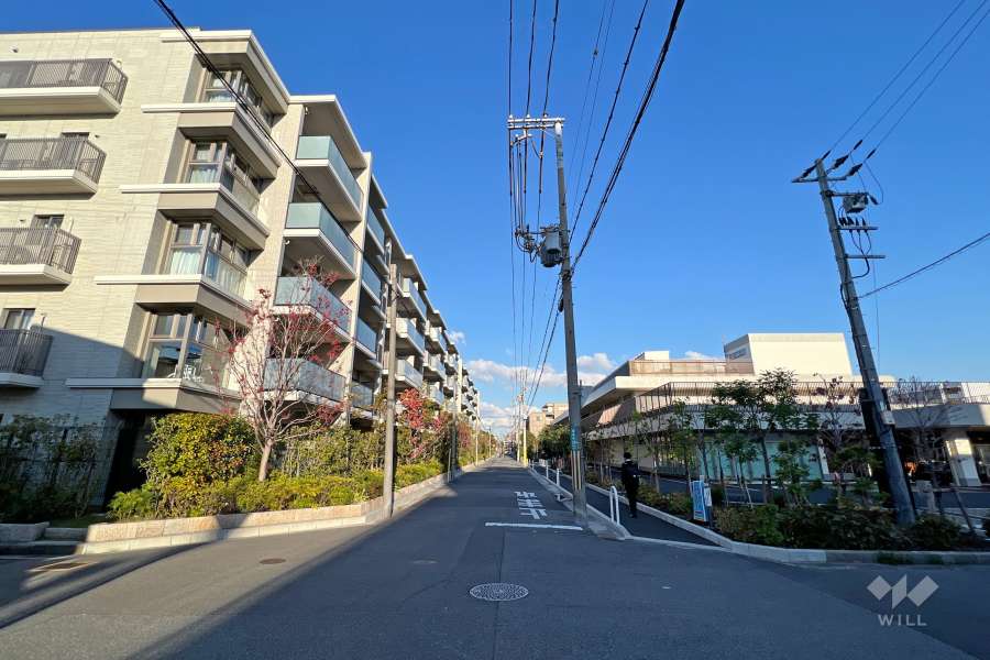 敷地南側の前面道路(西側から)