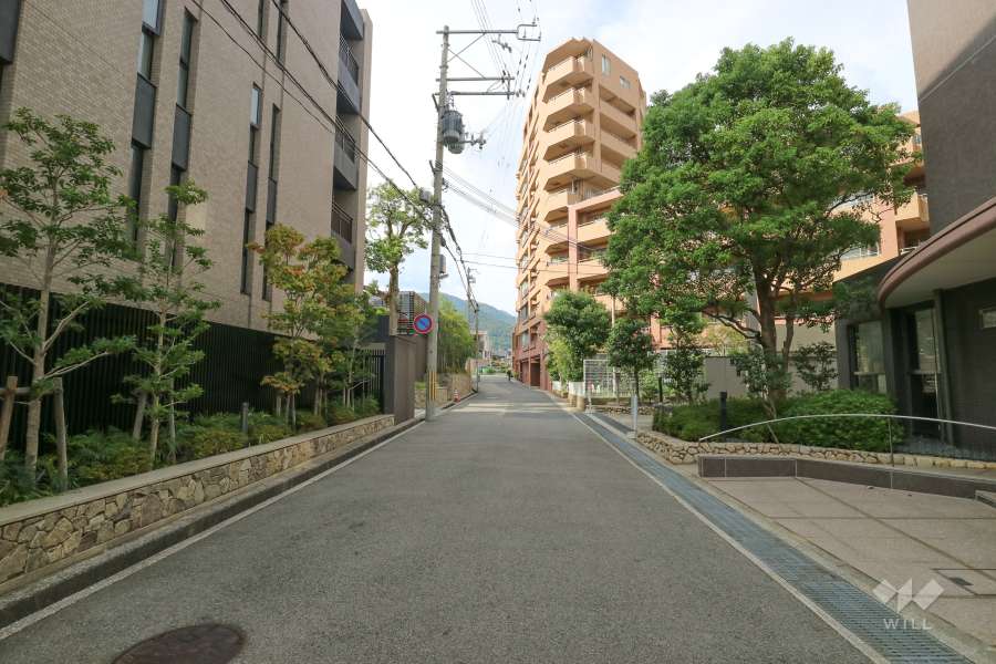 敷地東側の前面道路