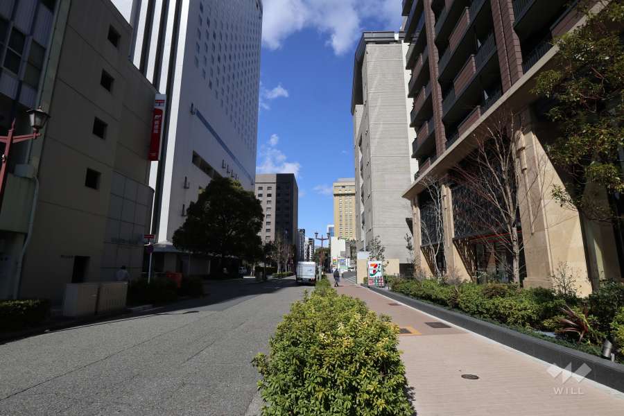 敷地西側の前面道路（南側から）
