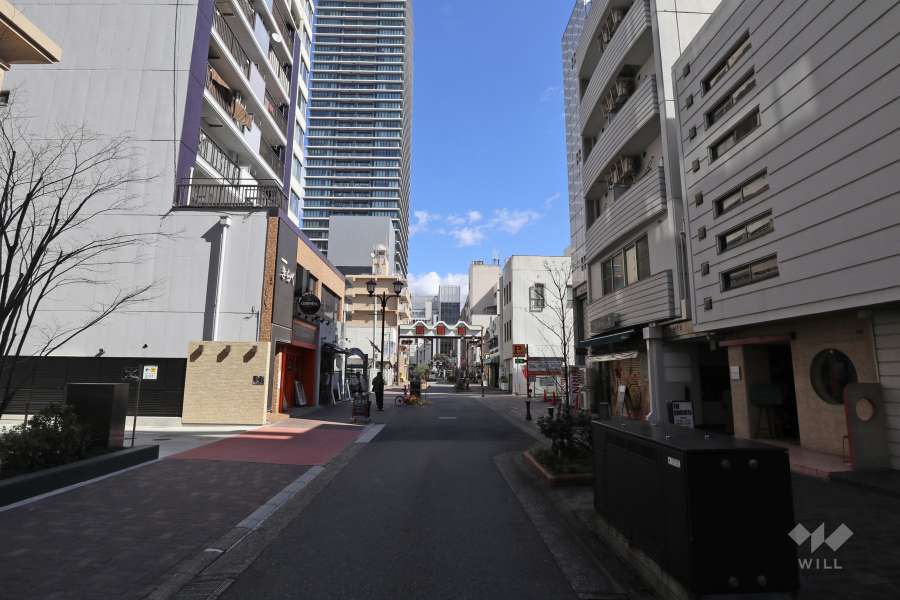 敷地南側の前面道路（西側から）