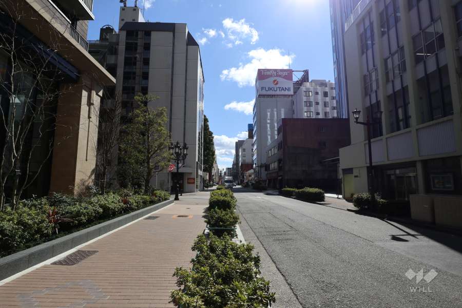 敷地西側の前面道路（北側から）