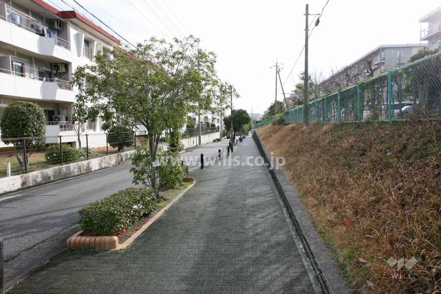 敷地南側の前面道路（西側から）