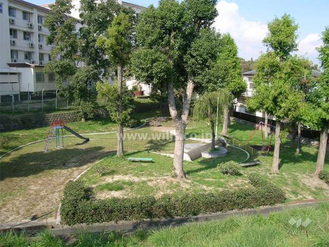 敷地に隣接した公園