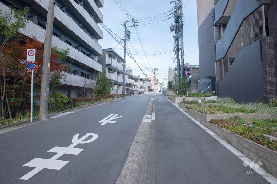 敷地北側の前面道路（西側から）